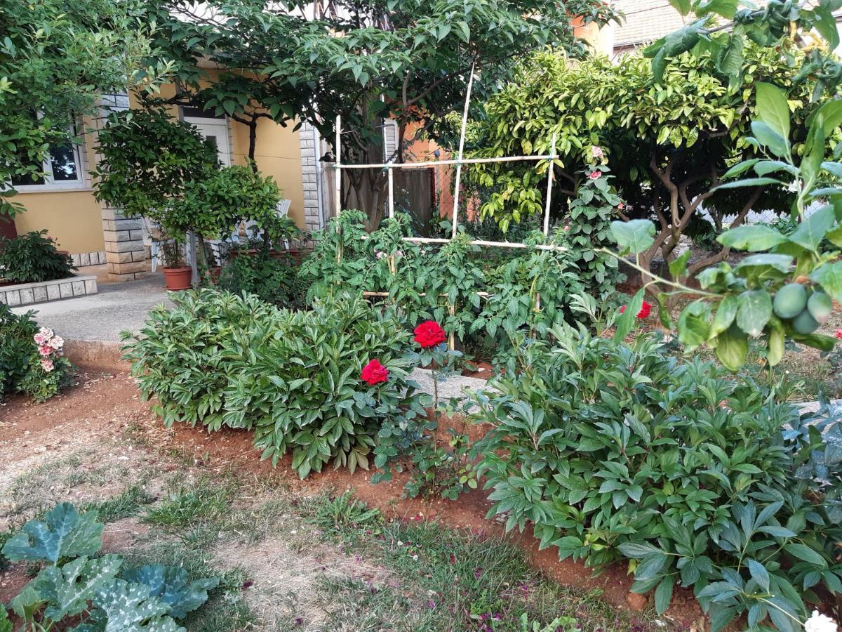 זאדאר Apartment Jardin With Free Cowered Parking מראה חיצוני תמונה