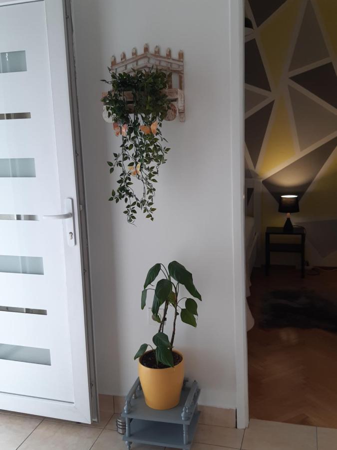 זאדאר Apartment Jardin With Free Cowered Parking מראה חיצוני תמונה