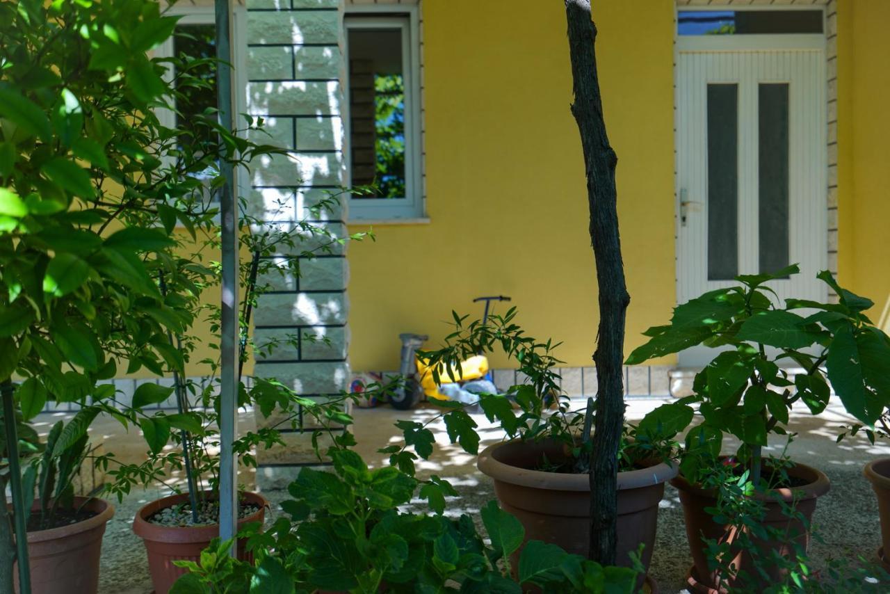 זאדאר Apartment Jardin With Free Cowered Parking מראה חיצוני תמונה